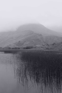 Morning MistPhoto: Norma Scheibe