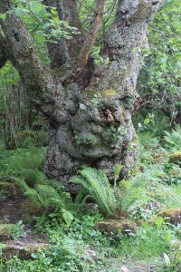 MouldedPhoto: Norma Scheibe