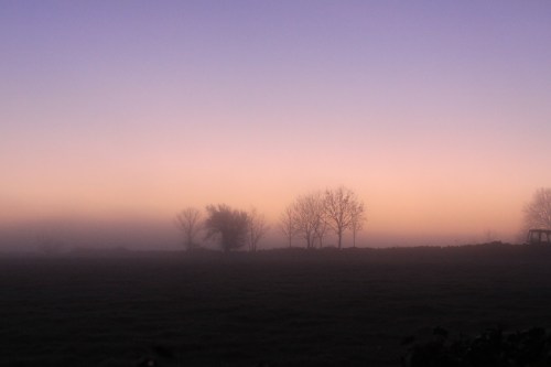 DawnPhoto: Norma Scheibe