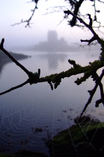 Dunguaire CastlePhoto: Norma Scheibe