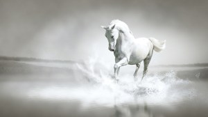 White-Horse-Water
