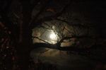 Haunted