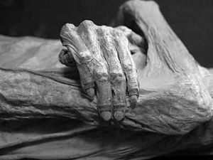 Detail of Guanajuato mummy, Mexico. Museo de las Momias de Guanajuato Tomas Castelazo