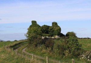 Foy's Hill, Kinvara Photo: Norma Scheibe