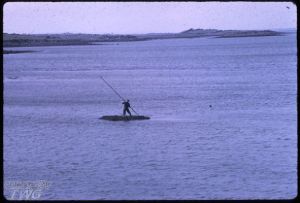 Moving a Climín Cresswell Archives