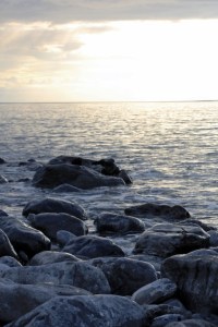 Photo: Norma Scheibe