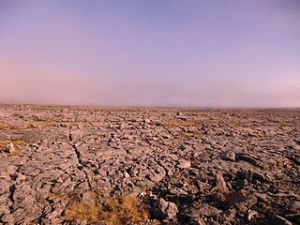 The Burren Photo: YvonneM Creative Commons