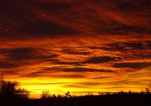 Photo: Jessie Eastland Wikipedia.org