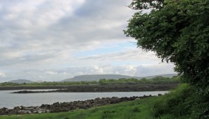Ballybranigan, Kinvara Photo: Norma Scheibe