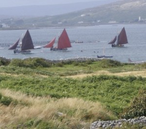 Galway Hookers Wikipedia.org
