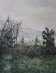 Out the back, Ballybuck EO'D