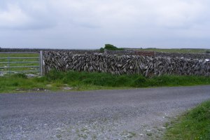 A McCarron Creative Commons