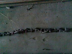 Photo: Gregory David Harington Creative Commons