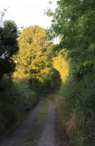 Photo: Norma Scheibe