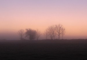 Photo: Norma Scheibe