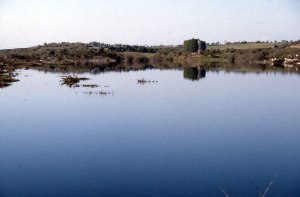 Newtown Castle near Gort Photo: Dr Charles Nelson Creative Commons