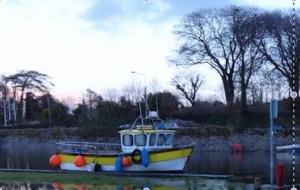 Photo: Norma Scheibe