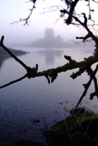 Dunguaire Photo: Norma Scheibe