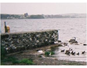 Loughrea Lake Wikimedia Commons