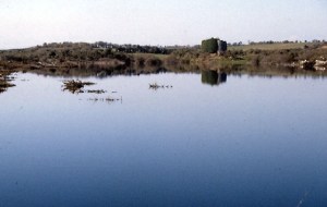 Newtown Castle, west of Gort  Photo: Dr Charles Nelson  Wikimedia Commons