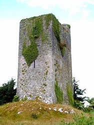 Tower house near Quin, County Clare Photo: Zoney  Wikimedia Commons 