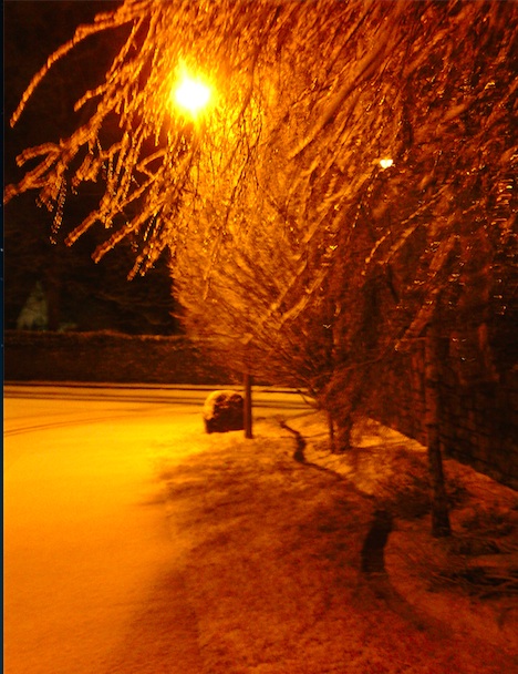 From the old Circus field