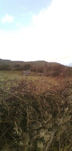 The Burren Photo: EO'D