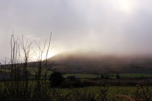 Burren mist Photo: Norma Scheibe