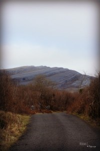 Mullaghmore, Co. Clare Photo: Norma Scheibe