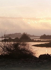 Photo: Norma Scheibe