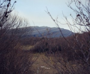 Mullaghmore, County Clare Photo: Norma Scheibe