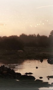 Ballybranigan Photo: Norma Scheibe