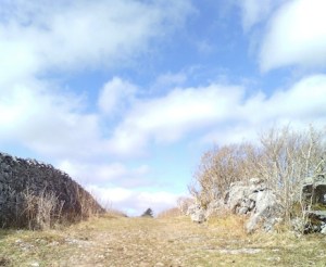 One for the road. Photo: EO'D