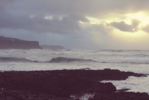 Cliffs of Moher Photo: Norma Scheibe