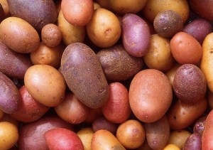 Patates Photo: Scott Bauer, USDA ARS Wikimedia Commons - 