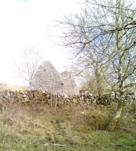 Temple Cronan, the Burren, County Clare Photo: EO'D