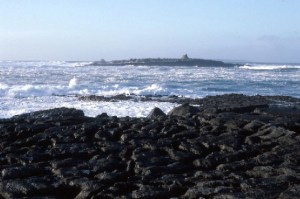 Crab Island, Doolin, County Clare Photo: Dr Charles Nelson Wikimedia Commons