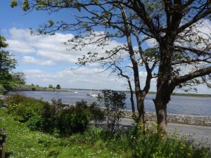 Down the Glebe Photo: EO'D