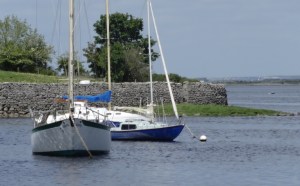 Canon's Lawn, Kinvara Photo: EO'D