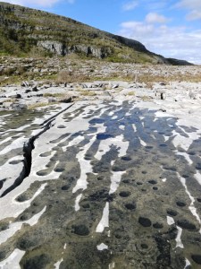 Bothar na Mias Photo: EO'D