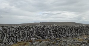 The Burren Photo: EO'D