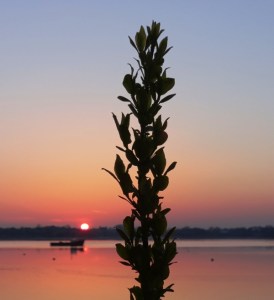 Kinvara Bay Photo: Norma Scheibe