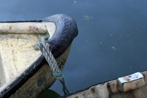 Photo: Norma Scheibe