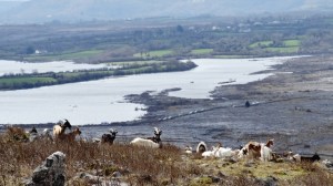 Photo: Norma Scheibe