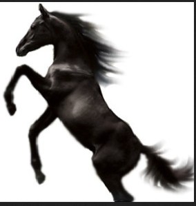 Image; Deathfly  Wikimedia Commons