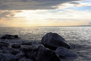 Down by the shore Photo: Norma Scheibe