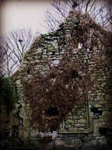 St Coman's Church, Kinvara Photo: Norma Scheibe