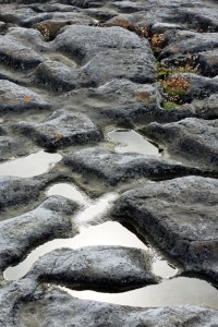 Photo: Norma Scheibe