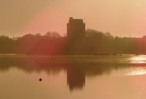 Photo: Norma Scheibe