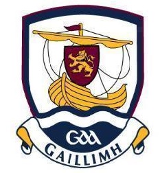 Crest of G.A.A. Galway inter county Hurling and Gaelic Football teams. Wikimedia Commons